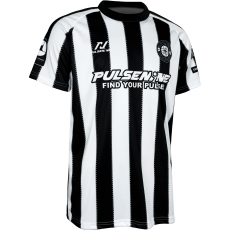 PULSENINE 2026 VER.3
