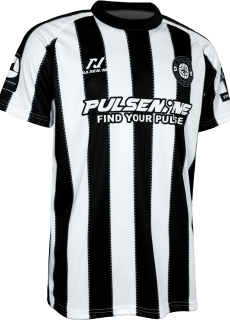 PULSENINE 2026 VER.3
