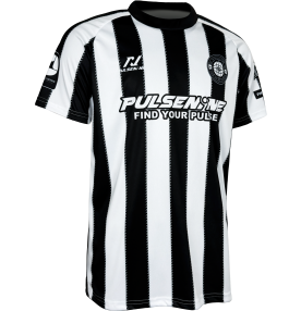 PULSENINE 2026 VER.3