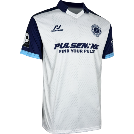 PULSENINE 2026 VER.10